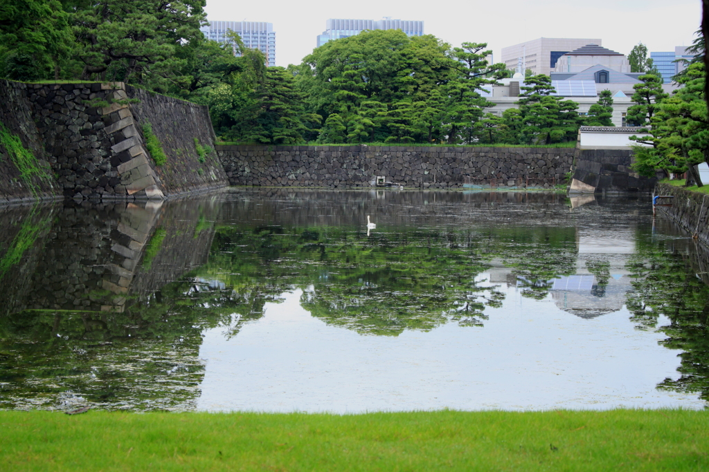 皇居前お濠映り込みに惹かれて