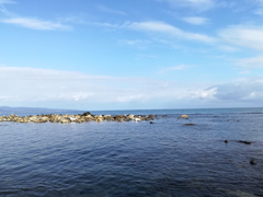 4日の雨晴海岸