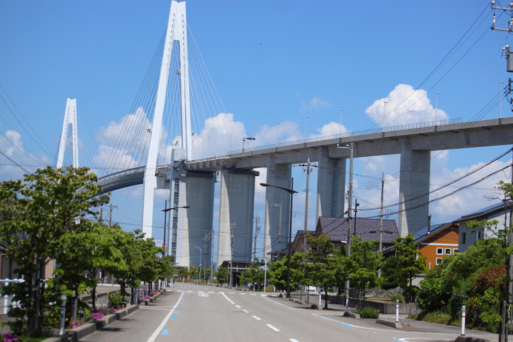 見上げれば橋　＾＾