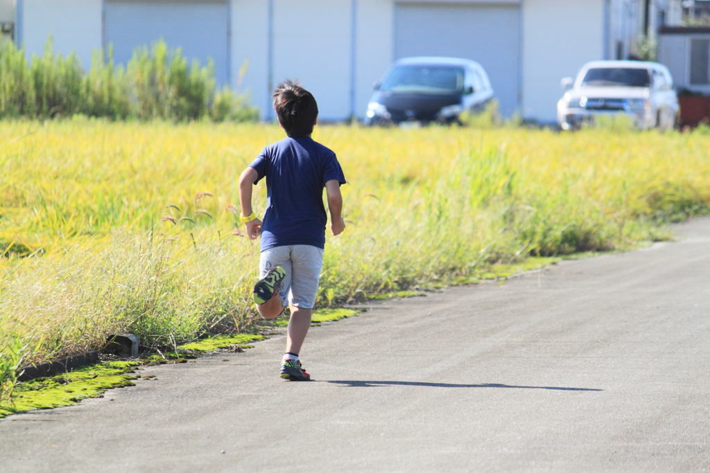 走る姿が頼もしい田園地帯での男児 (^'^)