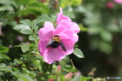 幸せ時間　＾＾