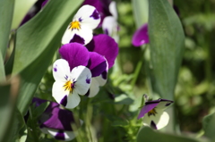つぶやき・・良いお天気なったわ＾＾