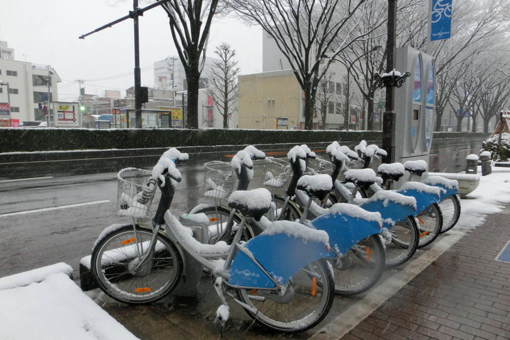 雪が冷たいレンタル自転車