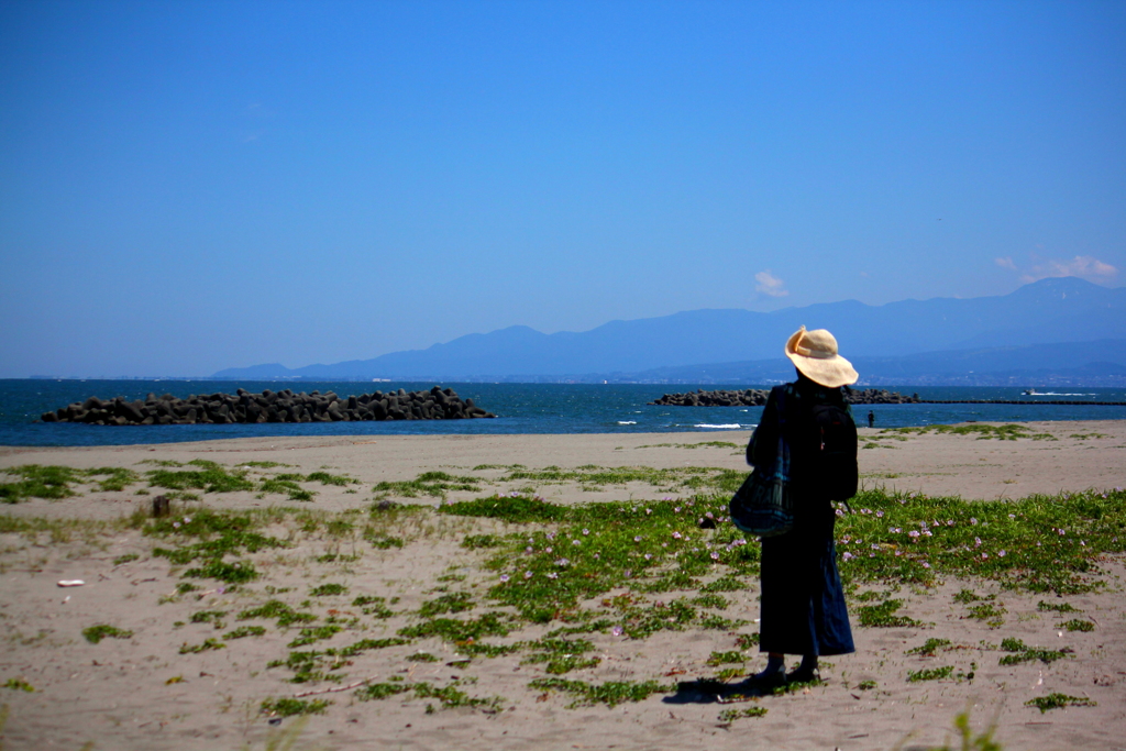 潮風に吹かれて古に思いを馳せる旅人一人