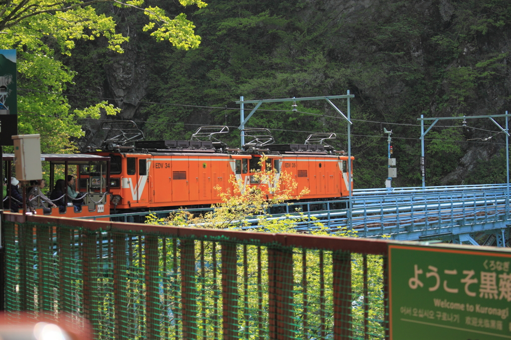 トロッコ列車で行く新緑の黒部峡谷