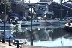 漁港　朝の賑わい
