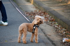 こんにちは～＾＾