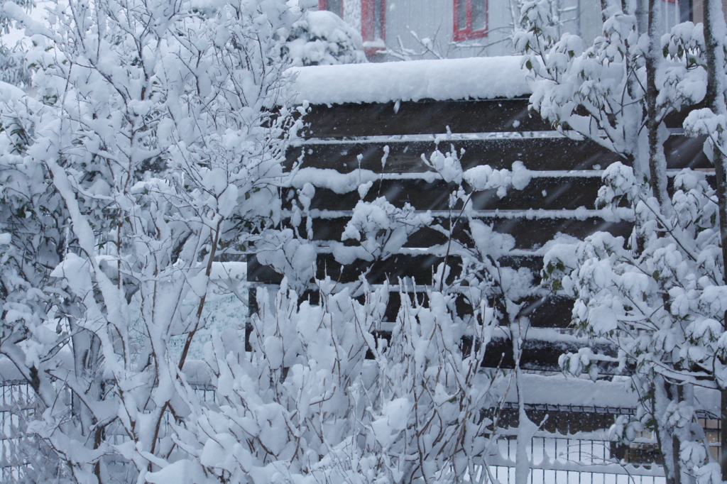 雪花