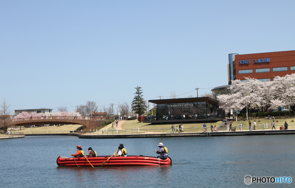 花見日和の環水公園