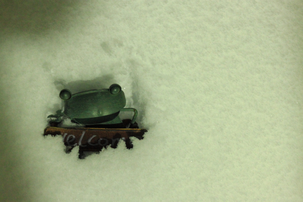 大雪だよ・・ぼく動けないよ.・・