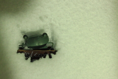 大雪だよ・・ぼく動けないよ.・・