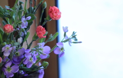 雪見花