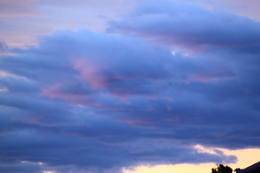 今日はどんな一日に・・・
