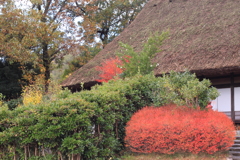 秋の呉羽山合掌館・・紅葉が綺麗～＾＾