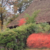 秋の呉羽山合掌館・・紅葉が綺麗～＾＾