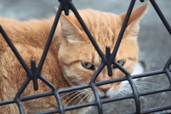 今朝の‥ひ　と　み