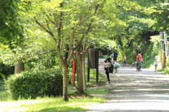 パークでの子供たちの夏休み風景　＾＾