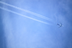 ワーオ・・飛行機雲だ～　＾＾