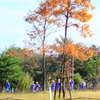 遠足びより