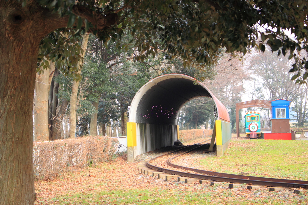 チョッピリ寂しい冬の遊園地