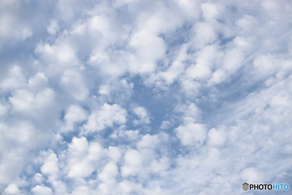 見上げれば秋を実感させてくれる空・・雲