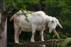 嬉しいモグモグタイム