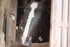 ドキッ・・お馬さんのお出迎え！