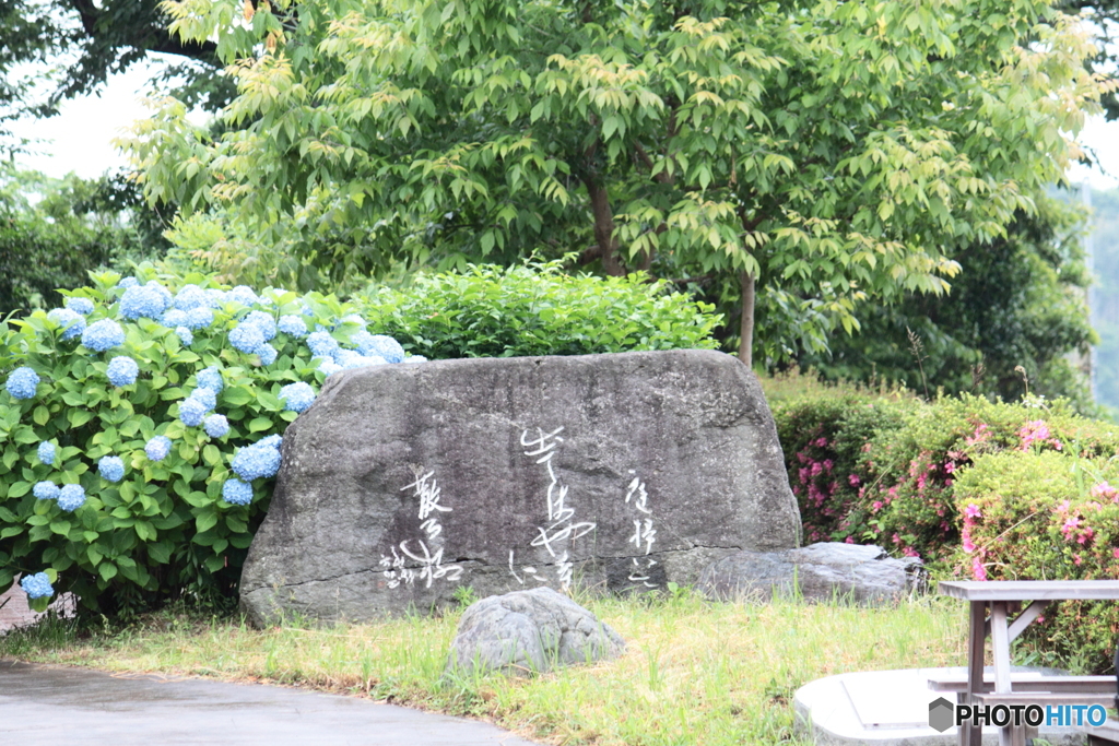 尼御前サービスエリアの癒しのミニ庭園