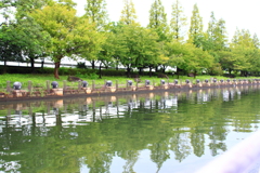 環水公園通過中