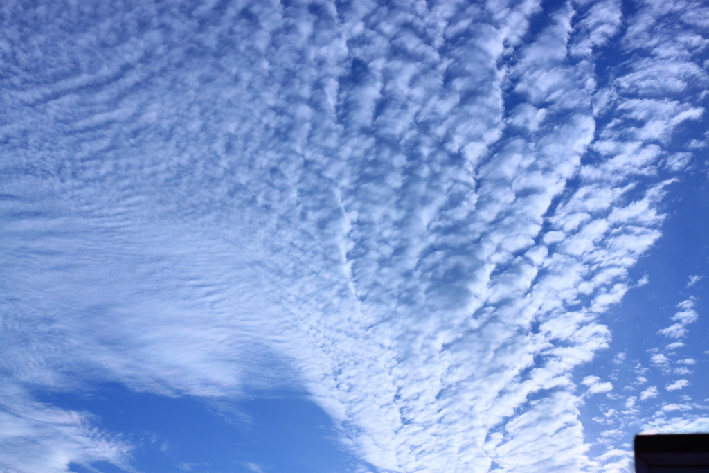 秋の雲１
