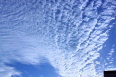 秋の雲１