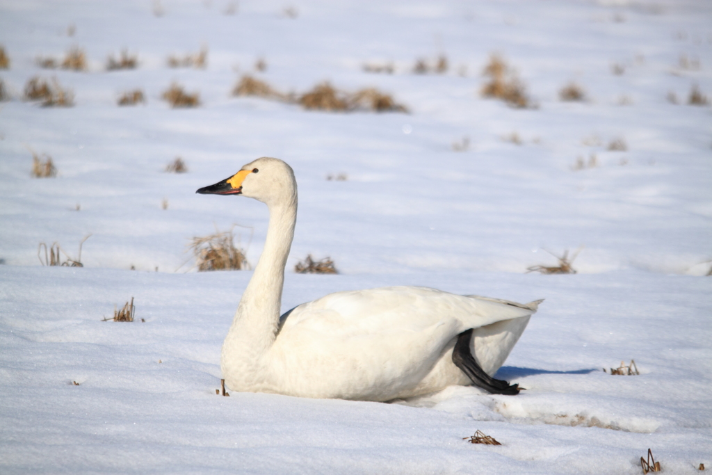 休憩中で～す＾＾