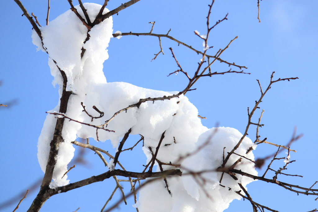 青空だ～うれしいな！＾＾