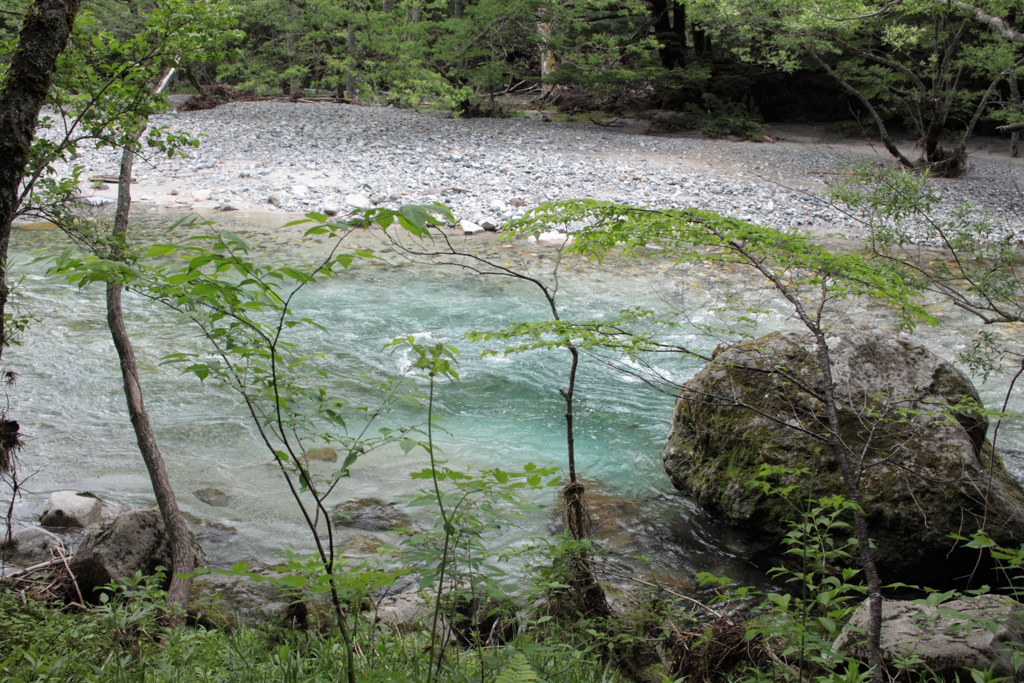 上高地　清流