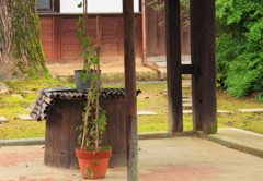 旧豪農内山邸の井戸