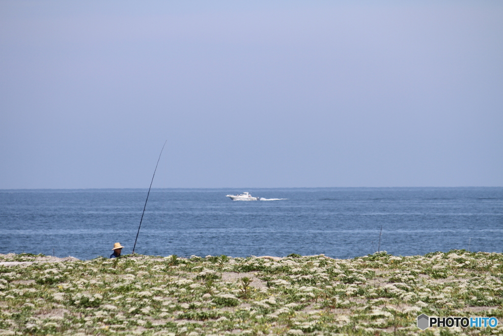 釣り人も無心になれる静かな静かな富山湾