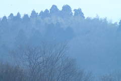 霞