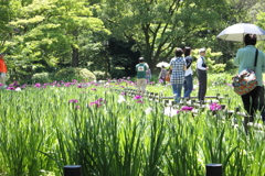 菖蒲園で・・休日を楽しむ　＾＾