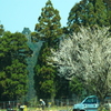 雪も溶け本格的春始動～(^'^)