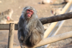 僕寒いんだけど。。。