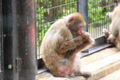 どうも足の裏がスッキリしないんだよな～(..)