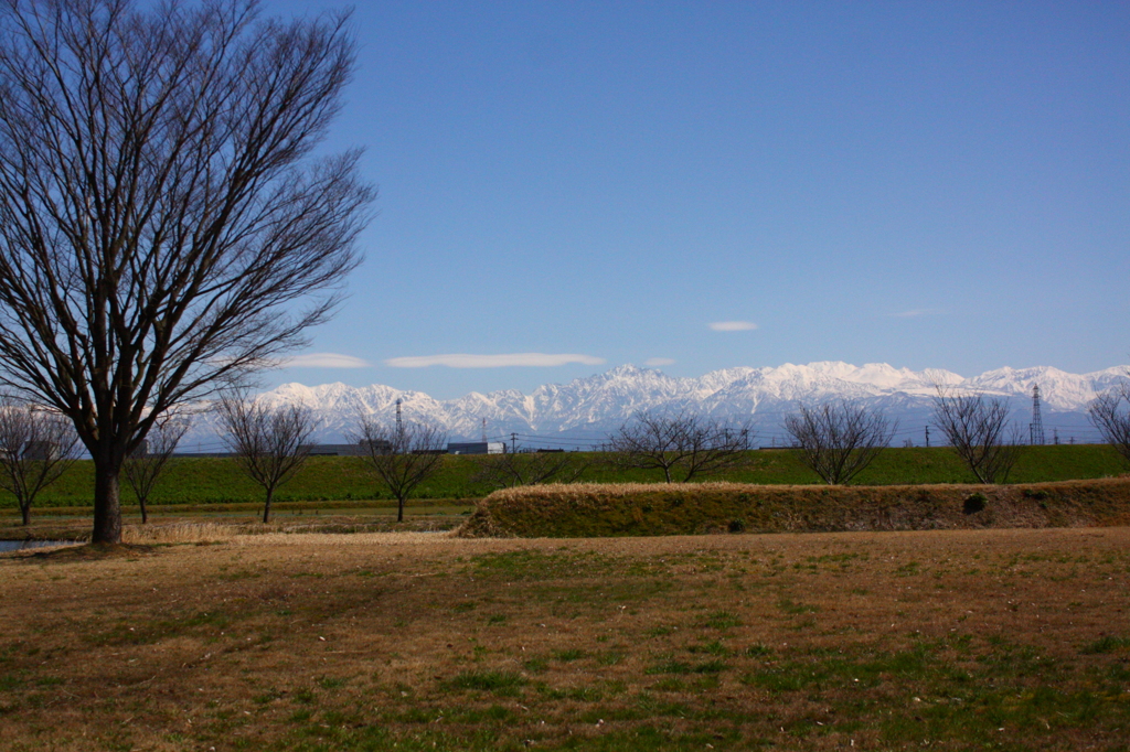 春の立山連邦