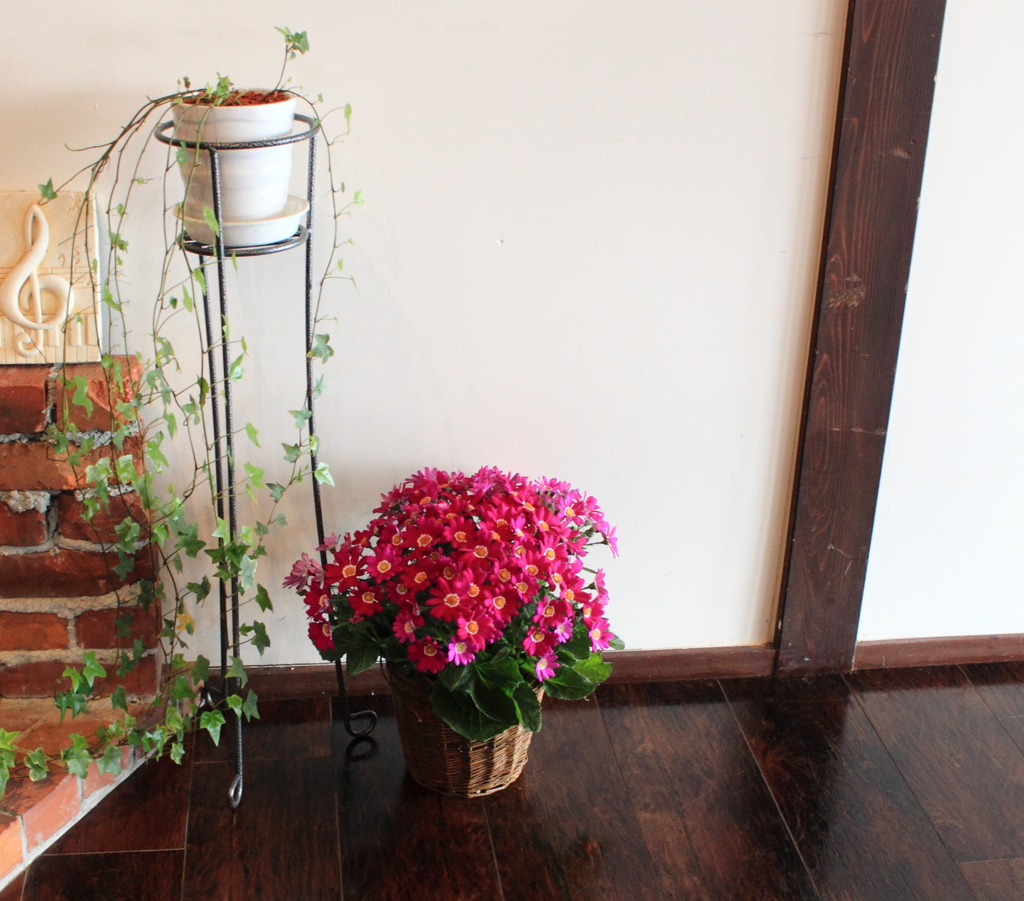 やはり癒される花の有るお部屋
