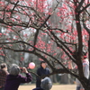 童心に帰る春・・楽しそう～(^'^)