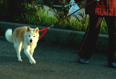 おはようございます～(^^♪