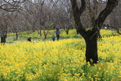 晴天・・休日の植物園