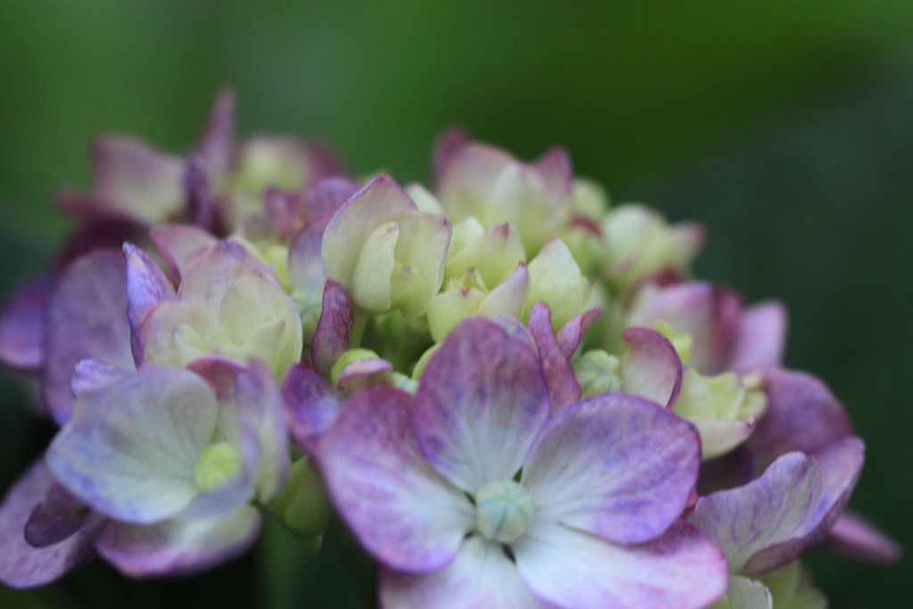 今日も綺麗でいてね^^