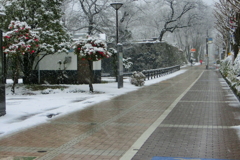 雪の日は白黒・・あいそもな！