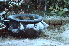 窓を覗くと雪が~降っていた(';')