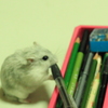 悪戯大好きチビ ^^